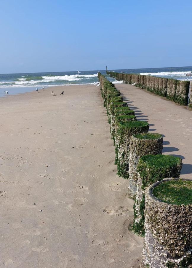 לינה וארוחת בוקר וליסינגן De Notenbalk Aan Zee מראה חיצוני תמונה